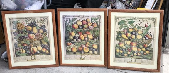 3 Of Furber 'The Four Seasons ' Botanical Prints Framed
