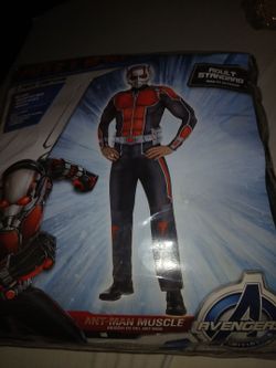 Ant Man costume