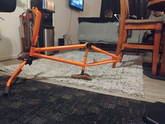 Mongoose 20" Frame