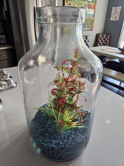 Large Decorative Glass Jar/Terrarium Vase – 19" Tall – Great for Décor or Aquarium Use