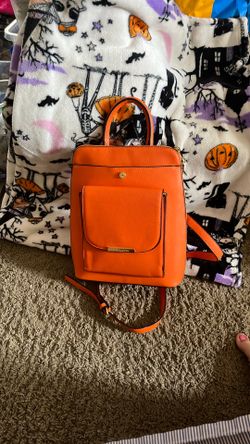 steve Madden bag