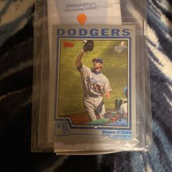 Dodger Shawn Green #132 Card Excellent Condition
