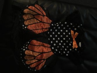 Black and orange butterfly costume