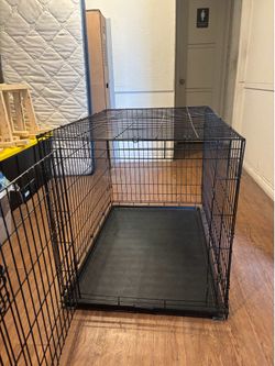 Dogs cage