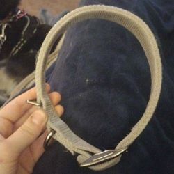 Hamilton Brand Dog Collar