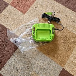 Greenworks 80v. 2Amp. battery charger 