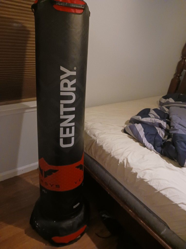 Punching Bag Century (We Can Work A Price)