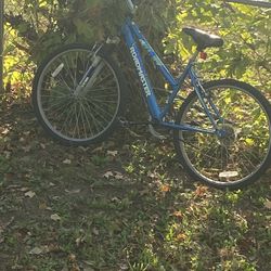 Bike 