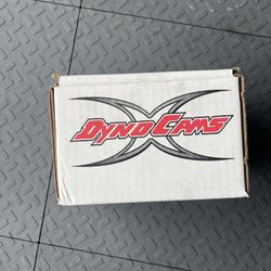 265 Dyno cam for minibike