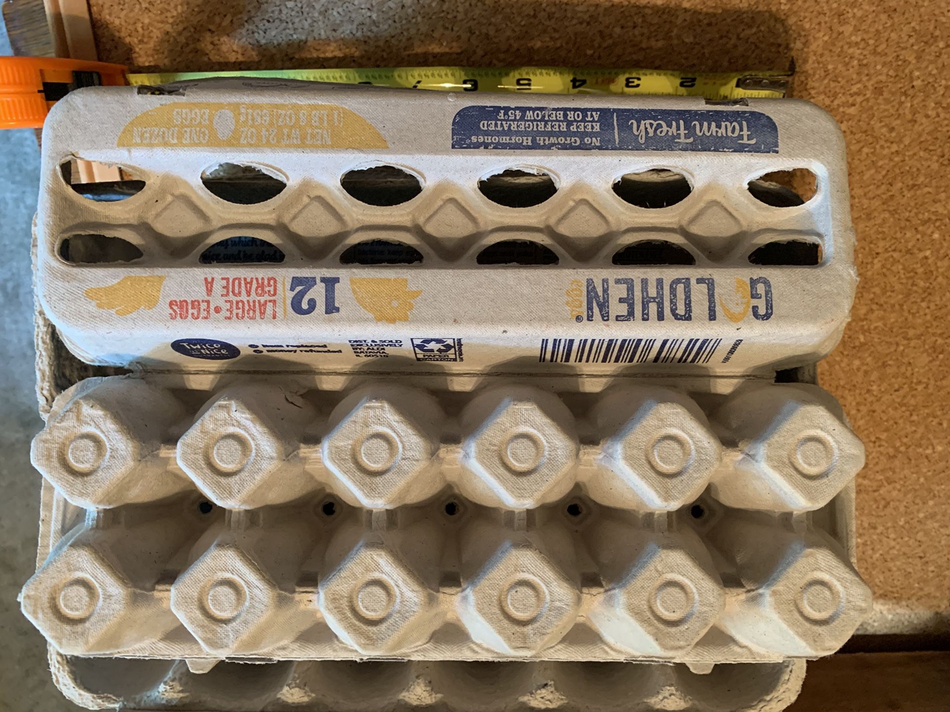 Egg Cartons