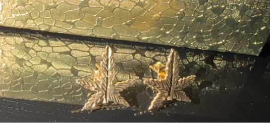14K Gold Bud leaf earrings