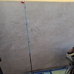 Fishing Rod