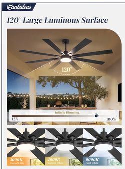 Ceiling fan