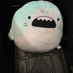 Shark & Bear Plushies For Sale
