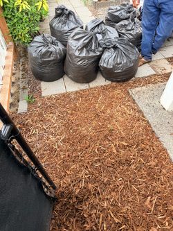 Free wood chip