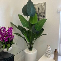 Arreglos Florales