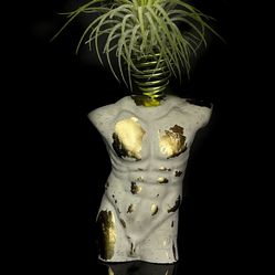 BBoho Décor Air Plant Holder | BRAND NEW | Man Body Sculpture Concrete Man Bust Desk Accessories Male Torso Small Plant Pot Succulent Planter