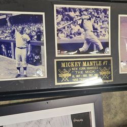 Mikey Mantle 