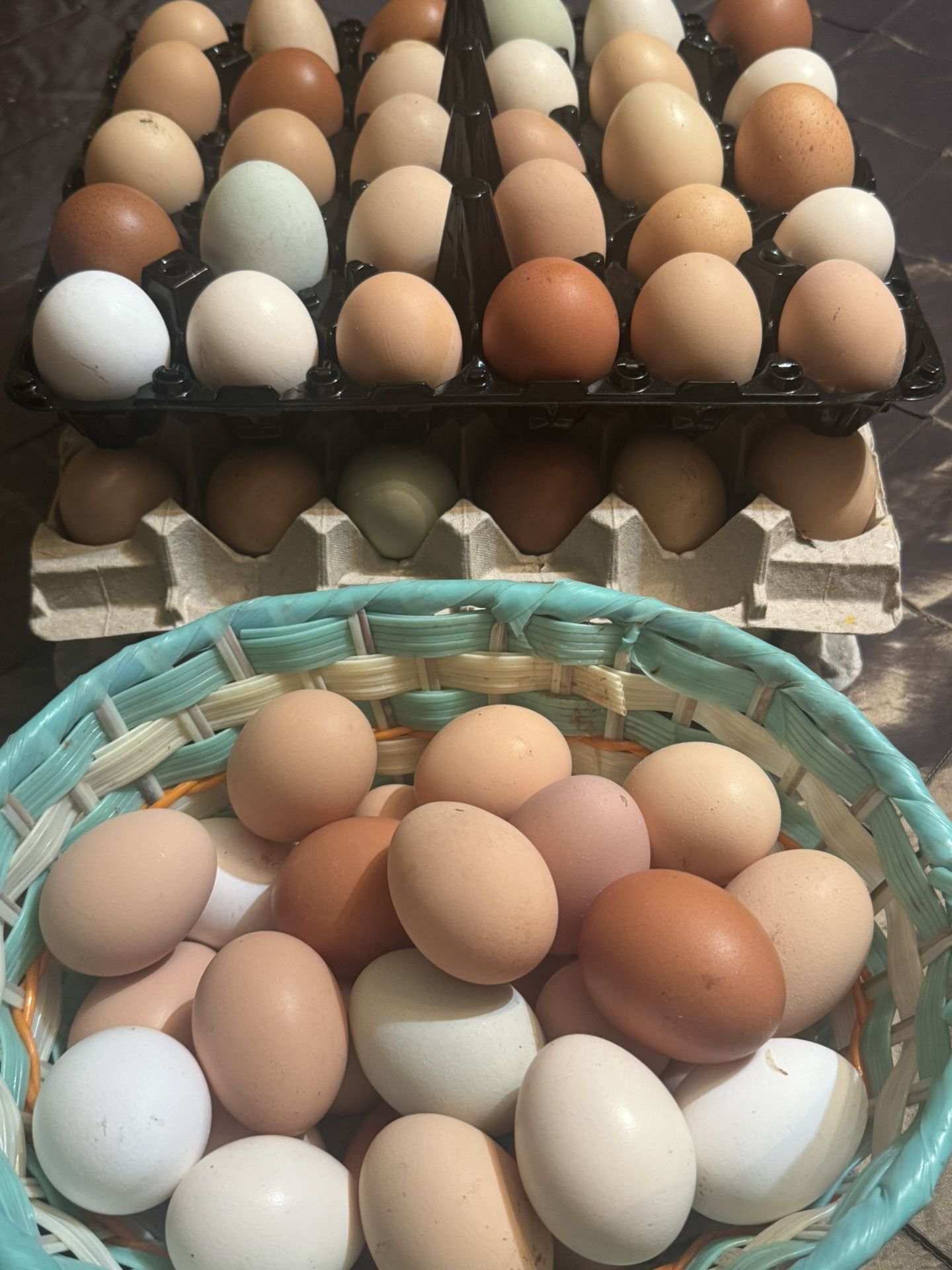 Fresh Eggs