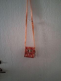 Bag/wallet with adjustable strap