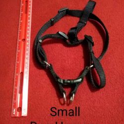 Small dog harness