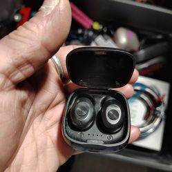 Earphones and Fitbit