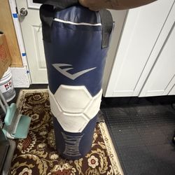 Everlast Punching Bag