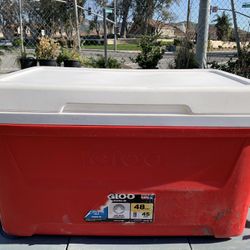 Igloo Coolers