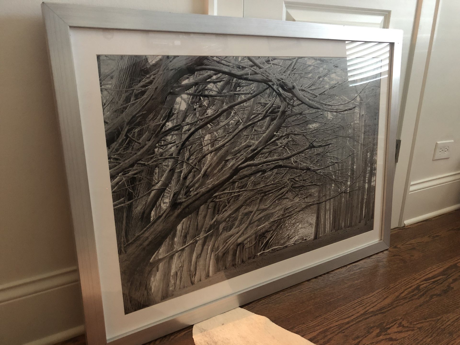 Z Gallerie oversized art - black and white photograph