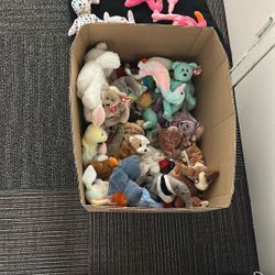 Lot of Ty Beanie Baby’s 