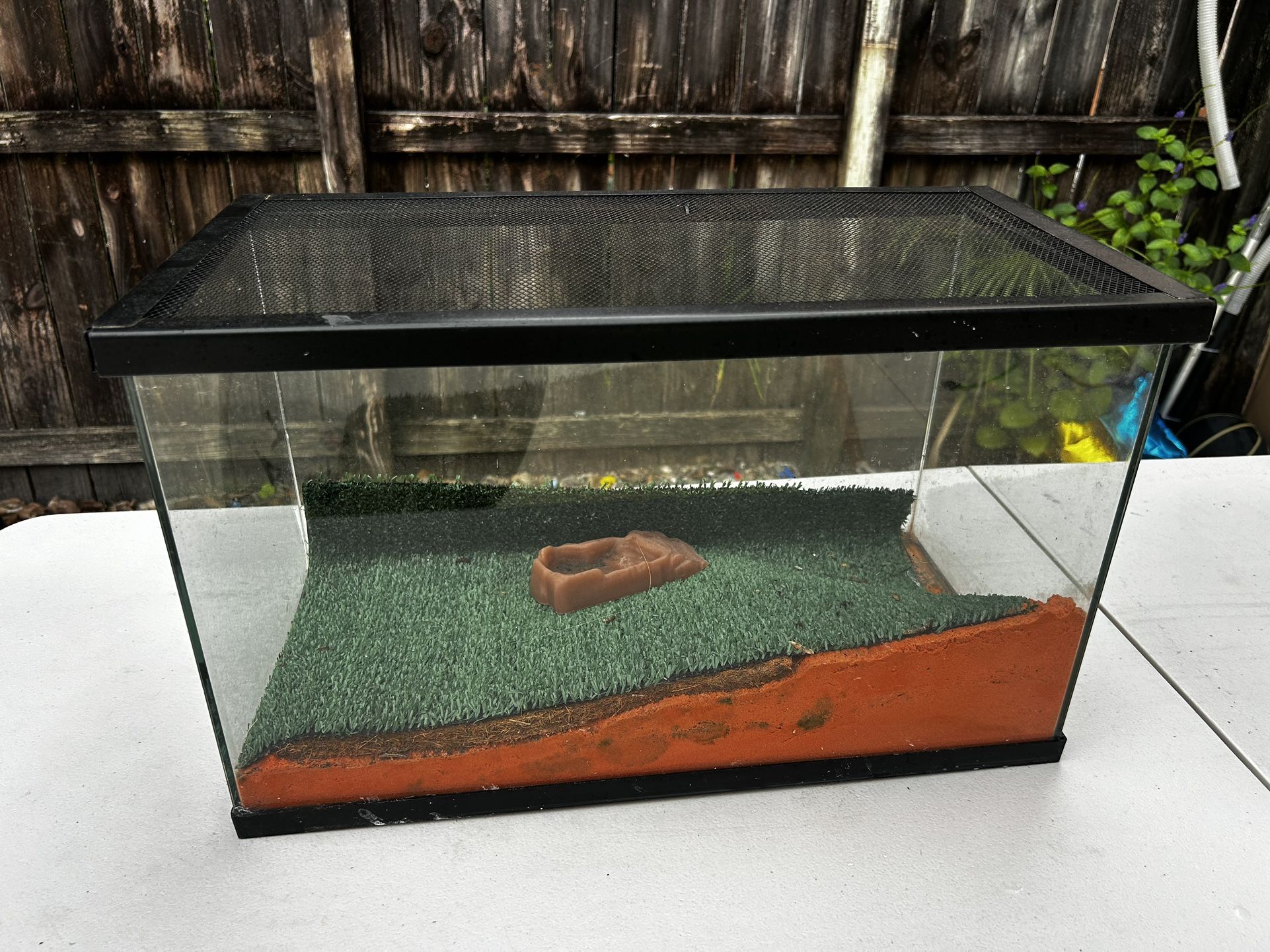 Reptile Tank With Top Cover