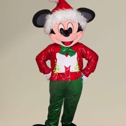 Mr Raton Costume Mascot For Sale