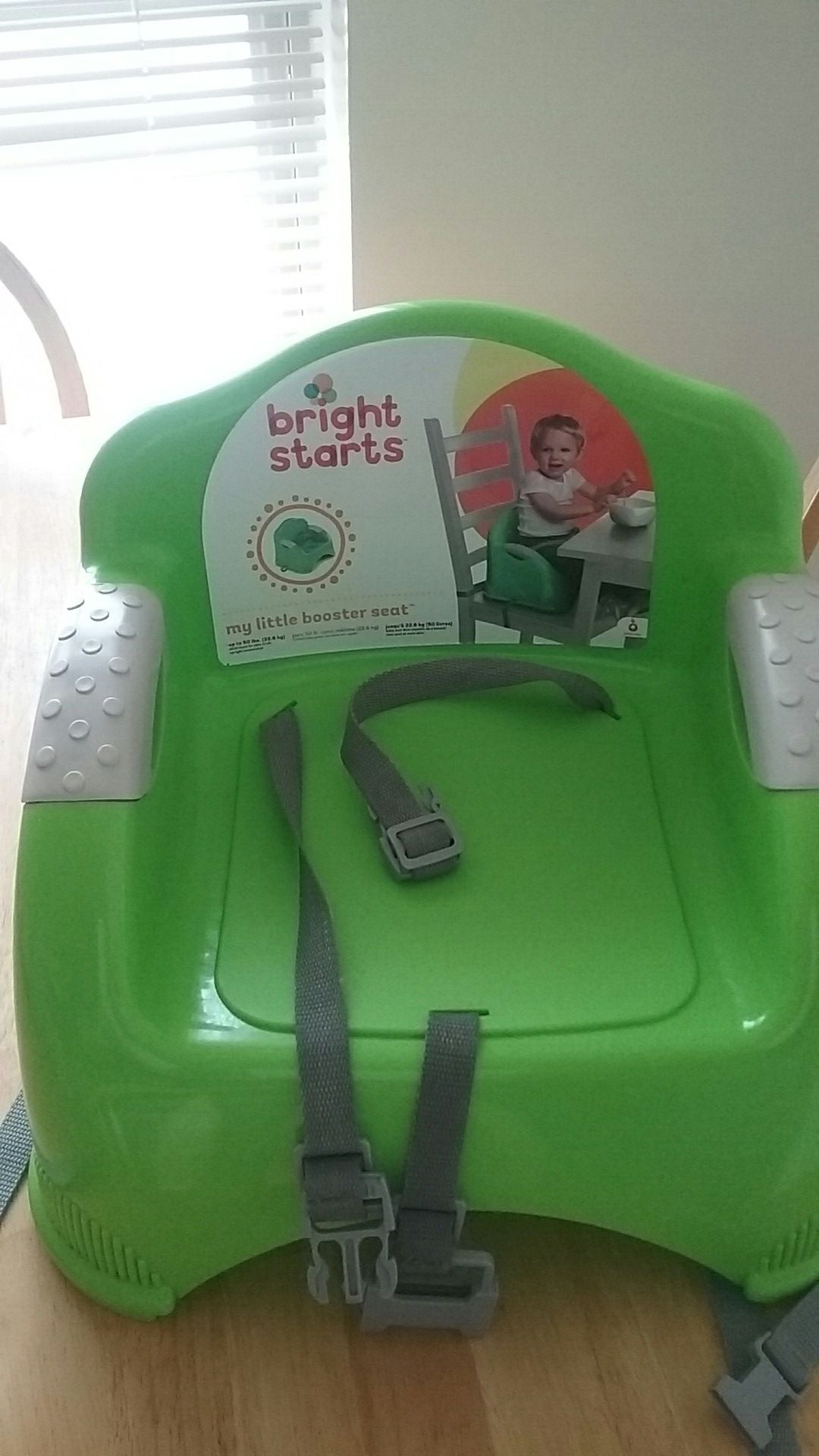 Bright starts, booster seat . Good condition