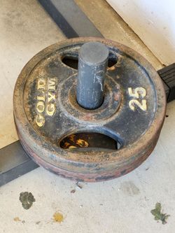 Golds gym 25lbs weigths set of 2