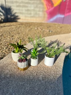 Set of 5 Faux Potted Plants – Modern Tabletop Decor | Succulents & Greenery
