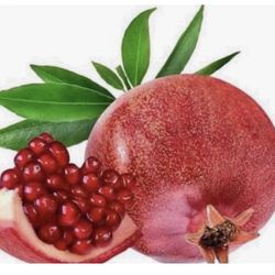 Red pomegranate trees almost 3 feet tall from the ground $30 Each Price Firm 