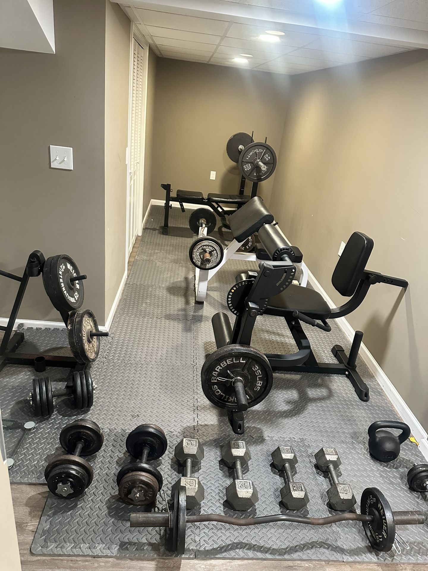 Gym Equipment 