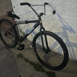 Throne 29er