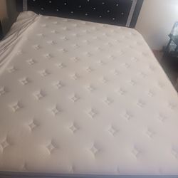 Queen Size Bed Set And Mattress 