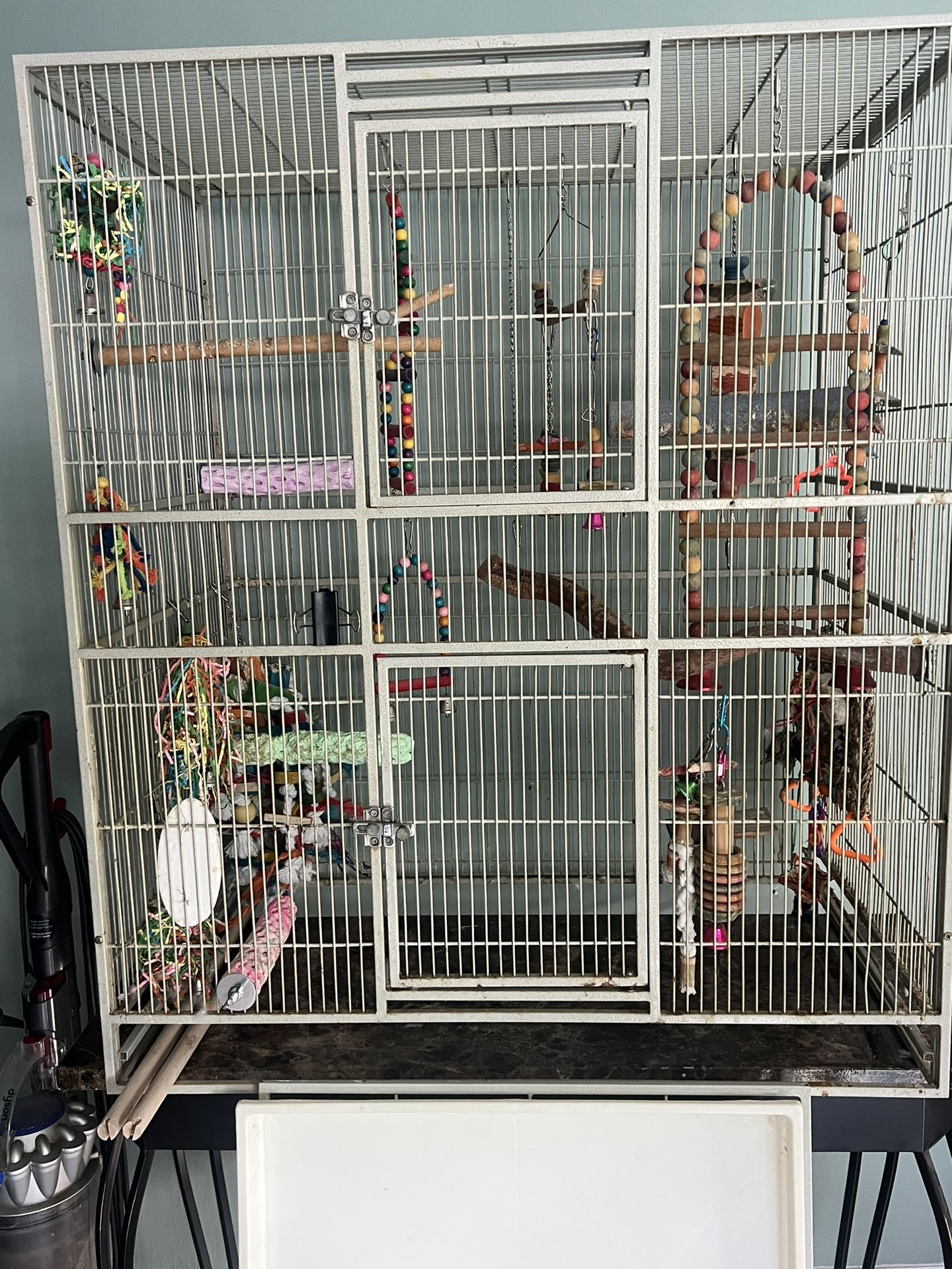 Bird Cage