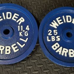25lb Deep Dish Vintage Standard Weights