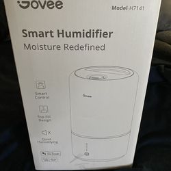 Govee Humidifier With Wifi