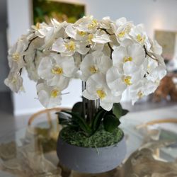 Orchids White Artificial 