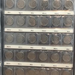 Antique Buffalo Nickel Coin Collection In Book