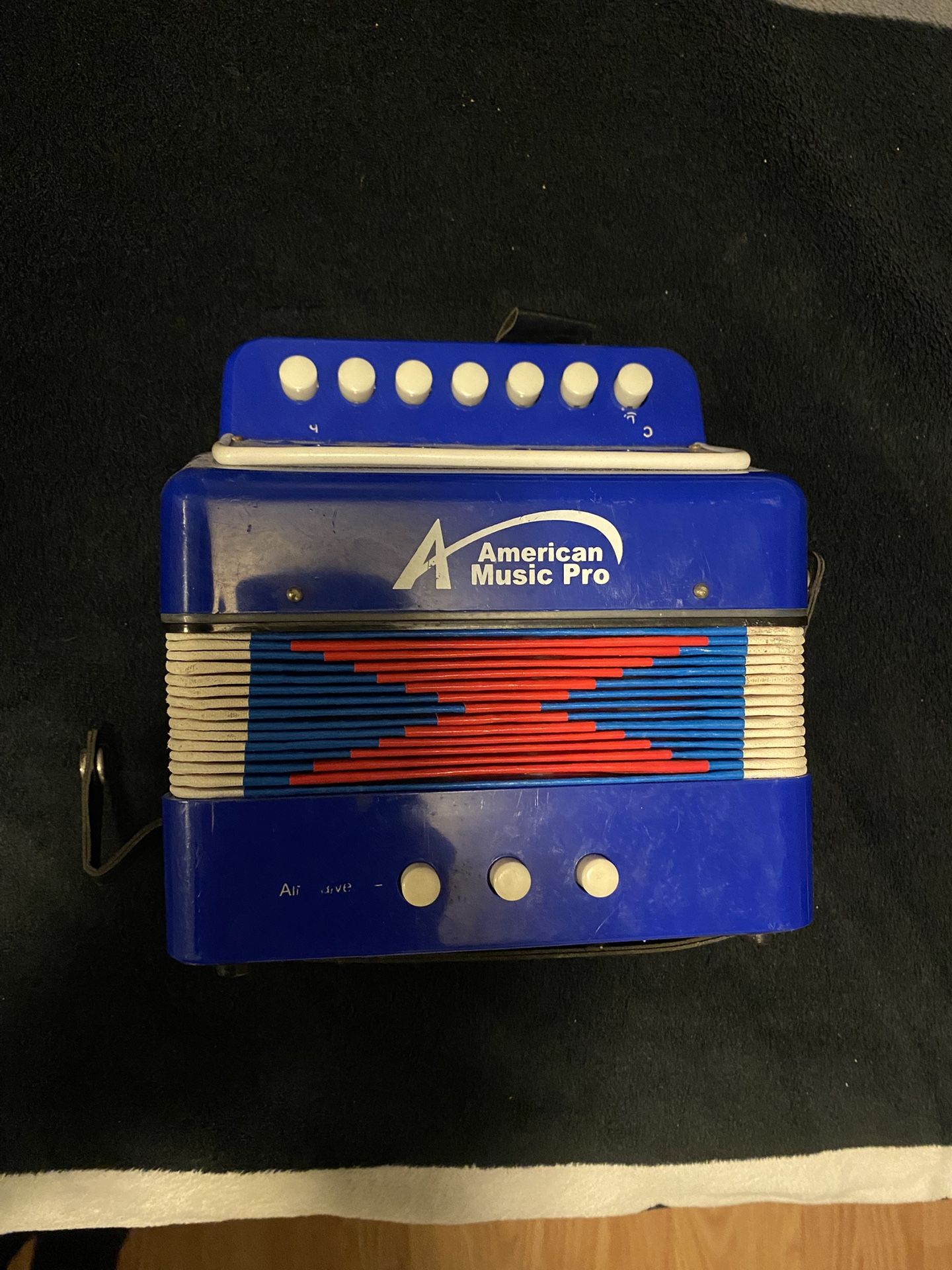 Mini Accordion