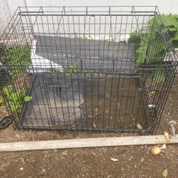 Medium Dog Cage