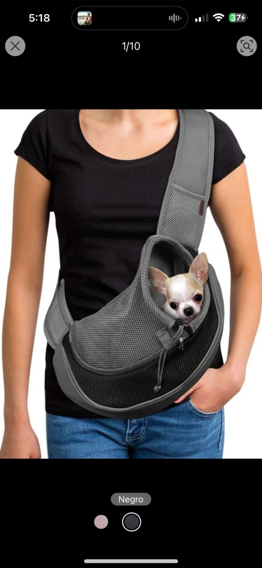 Dog Carrier