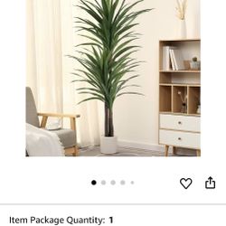 Silk Indoor Plant 