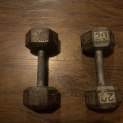 20 lb Dumbbells  