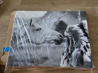 Seminole Art Print